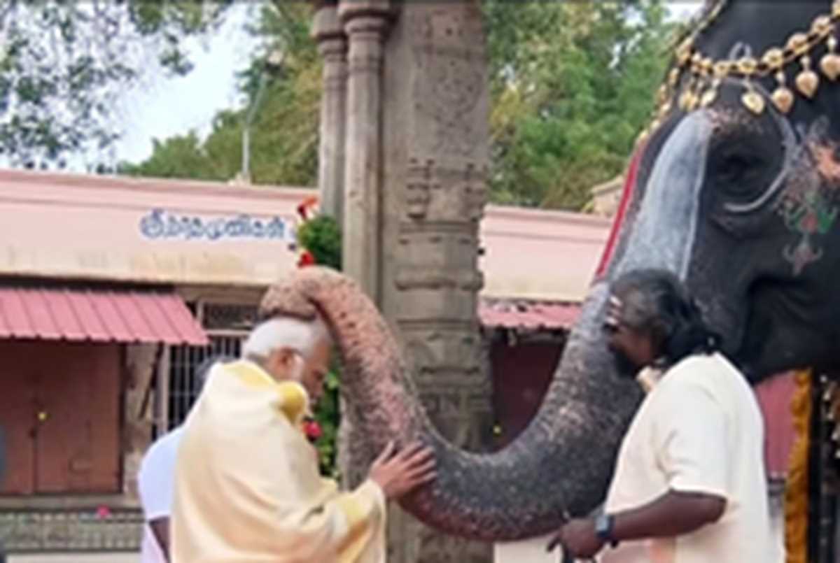 राम मंदिर प्राण प्रतिष्ठा के दम पर सफलता हासिल करने की जुगत में भाजपा की तमिलनाडु इकाई राम मंदिर प्राण प्रतिष्ठा के दम पर सफलता हासिल करने की जुगत में भाजपा की तमिलनाडु इकाई